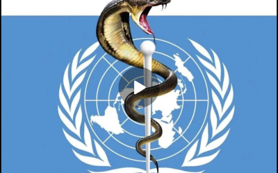 Geneva: The Head of the Snake
